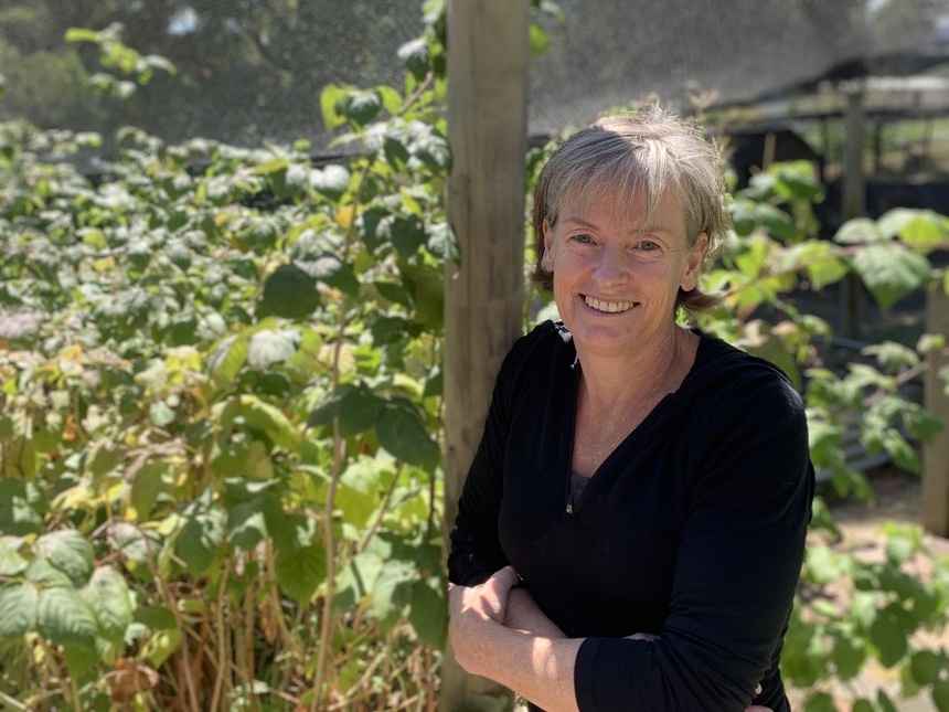 Episode 37 – Running is analogous to life – it can be a struggle but it will get better