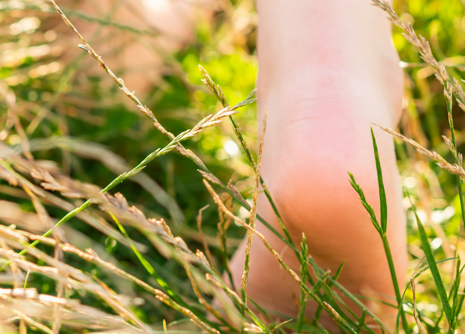 Episode 103 – Mindful Moment Series – Tip 17 – Bare foot on the grass…