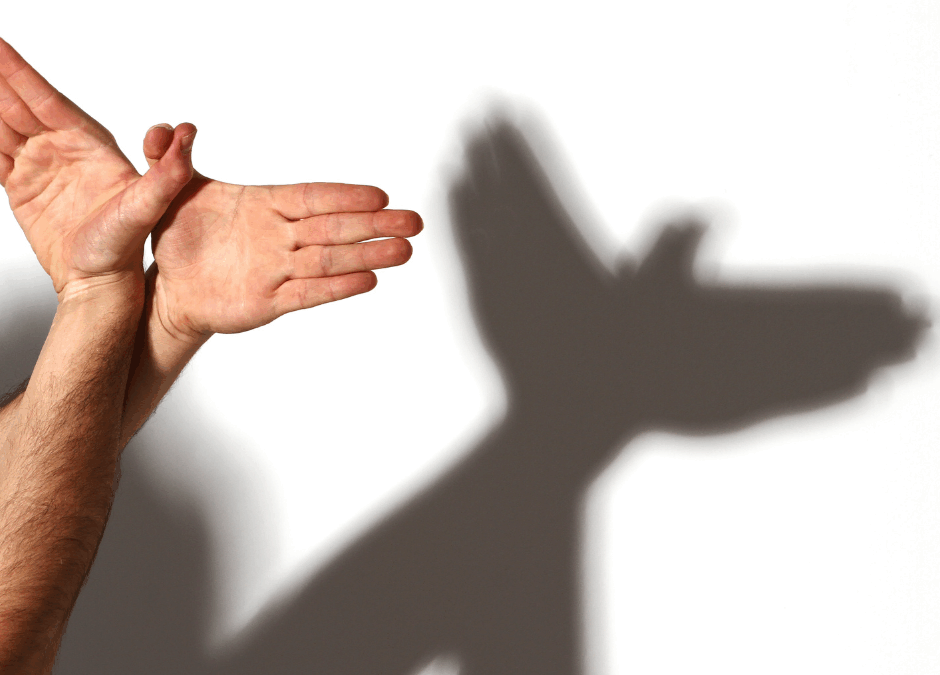 Episode 564 – MM – 201 – Watch how your shadow moves